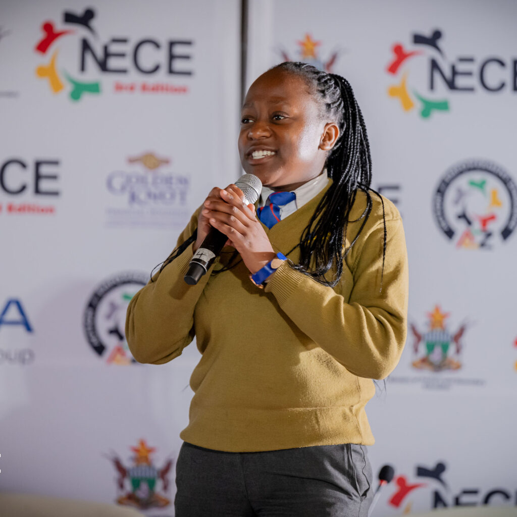 Welcome to NESZ 2026 Edition